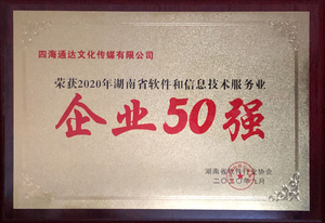 2020年湖南省软件与信息技术服务业企业50强